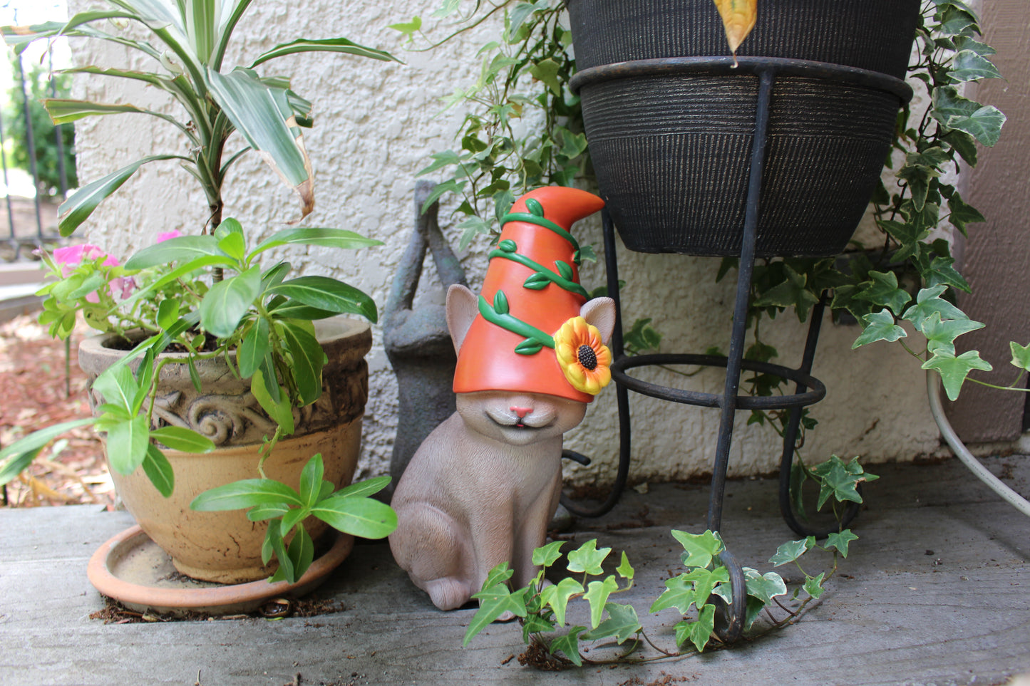 Cat Gnome