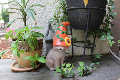 Cat Gnome