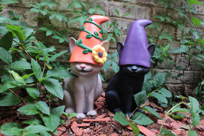 Cat Gnome