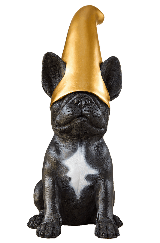 Frenchie Gnome! The black french bulldog gnome with a gold hat. Black french bulldog statue 